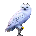 sikanaya kasheesan Hedwig